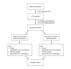 Absorption of iron and folic acid can be affected by the foods you eat, so certain foods should be avoided with these types of anemia. Budget Impact Analysis Of Apixaban To Treat And Prevent Venous Thromboembolism In Italy Bellone Farmeconomia Health Economics And Therapeutic Pathways