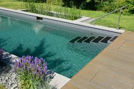 Naturpool Im Garten Besser Spat Als Nie Schwimmbad De Natur Pool Gartenpools Coole Pools