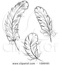 Colorful images of peacock tattoos on arm, shoulder and back. Tattoo Designs Feather Three Clipart Three Black And White Feathers Royalty Free Vector Feather Tattoos Free Vector Illustration Feather Sketch