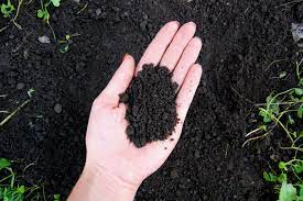 What Does Loam Mean To A Gardener