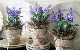 Although lavender grown in pots will require more water that those grown in the ground, overwatering can still commonly occur. How To Grow Lavender In Pots The Complete Guide Seasonal Preferences