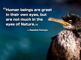 Insperational Quotes About Oil Spills. QuotesGram via Relatably.com