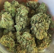 .white runtz strain, after our experience with the runtz crew in california ,we came up with the best white runtz weed dispensary, buy pink runtz strain online, buy moonrocks online, order pink runtz. Buy Runtz Weed Runtz Weed For Sale Where To Buy Runtz Strain Weed