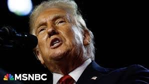 Michael Soder's Instagram, Twitter & Facebook