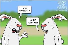 Hasie Fout Nie Funny Pictures Funny Jokes Afrikaans