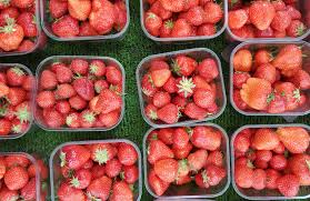 Maybe you would like to learn more about one of these? 12 Le Cse Et La Commission Sante Securite Et Conditions De Travail Ssct