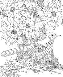 Free coloring pages to print or color online. Pin By Stefan Scott On Coloring Pages For Adults Bird Coloring Pages Detailed Coloring Pages Flower Coloring Pages