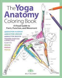 Yoga anatomy coloring book for beginners: Solloway K Yoga Anatomy Coloring Book A Visual Guide To Form Function And Movement The Yoga Anatomy Coloring Book Amazon De Solloway Kelly Stutzman Samantha Fremdsprachige Bucher