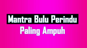 Mantra pelet buluh perindu ini dapat juga digunakan untuk memanggil orang yang berada jauh gunakan dengan bijak. Cara Menggunakan Bulu Perindu Jarak Jauh Kumpulan Cara Terbaru 2022