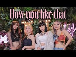 Blackpink How You Like That Dance Cover By Pink Panda From Indonesia Youtube Pink Panda Blackpink Panda