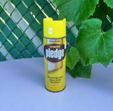 Check spelling or type a new query. 17 Pledge Ideas Pledge Pledge Furniture Polish Cleaning