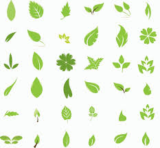 Green applelove story 安室奈美恵ミュージック・アワー ポルノグ. ã•ã‚‰ã£ã¨ã‚·ãƒ³ãƒ—ãƒ«ãªè'‰ã£ã± Leaves ã®ã‚¤ãƒ©ã‚¹ãƒˆç´ æ Free Style All Free