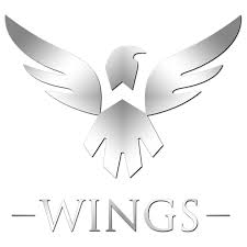 Theories typically include a mix of pro players and former pros who are currently. Wings Gaming Dota 2 Wiki