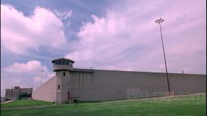 Check spelling or type a new query. Natural Born Killers Blu Ray Digibook