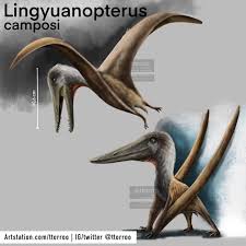 Image result for Landolphia robustior