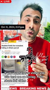 Des Gens Qui Trouvent Des Scorpions Dans Leurs Colis