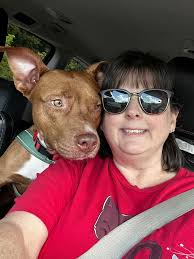 Hi all! I just wanted to introduce myself and share a photo I took