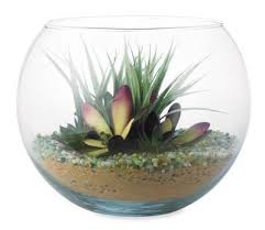 Bubble Bowl Terrarium Terrarium Succulent Terrarium Mini Garden