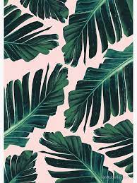 Tropical Blush Banana Leaves Dream 1 Decor Art Spiral Notebook By Anitabellajantz In 2021 Leaf Wallpaper Banana Leaf Tropical
