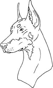 Outline Vector Doberman Yahoo Search Results Image Search Results Doberman Tattoo Doberman Pinscher Dog Art