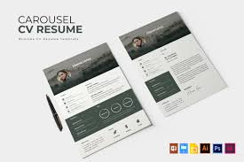 25 Best Indesign Resume Templates Free Cv Templates 2021 Theme Junkie