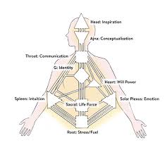 Human Design Learn How To Read Your Bodygraph Chart Goop