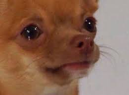 Pin On My Hero Academia Manga