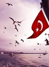 Lets shake it out onto the teardown. Turkish Flag Wallpaper For Android Apk Download