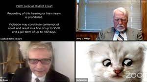 Attorney rod ponton mistakenly adopted a cat persona in a virtual court hearing in texas on tuesday. Texas Attorney Leaves Cat Filter On During Zoom Hearing Youtube