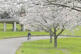 Check spelling or type a new query. Photo Gallery Spring In Bloom 3 31 21 Southeast Missourian Newspaper Cape Girardeau Mo