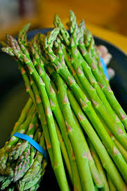 Image result for Asparagus aspergillus
