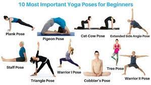 Some poses indicate strength, such as warrior pose, and some indicate submission, like child's pose. 10 Most Important Yoga Poses For Beginners Yogaposes4u Com Beginner Yoga Poses Beginner Begin Yoga Poses For Beginners Easy Yoga Poses Yoga For Beginners