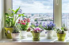 30 ideas for the best outdoor christmas decorations on the block. 22 Creative Window Sill Decor Ideas How To Decorate A Window Sill