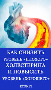 как снизить уровень холестерина в крови в домашних условиях Kak Snizit Uroven Plohogo Holesterina I Povysit Uroven Horoshego V 2020 G Zdorove Zhurnal O Zdorove Alternativnaya Medicina