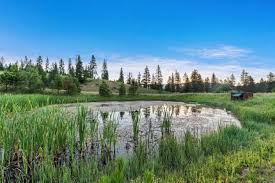 15 Victory Lane, Lowman, ID 83637