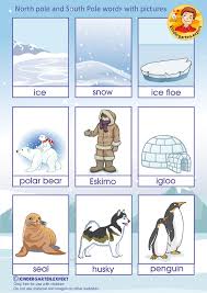 Discover the animals that live in the world's coldest and windiest continent. North Pole South Pole Kindergarten Expert