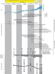 123 din 7 februarie 2002 pentru aprobarea normelor metodologice de aplicare a legii nr. Ecometrics And Neogene Faunal Turnover The Roles Of Cats And Hindlimb Morphology In The Assembly Of Carnivoran Communities In The New World