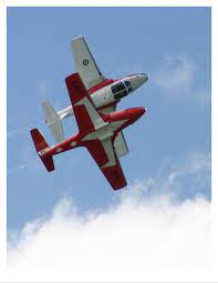 Elderly people who travel to florida during the winter months. Snowbirds Wikipedia