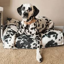 Diy dog room crate cover 70+ ideas. 8 Dog Room Ideas Crate And Barrel