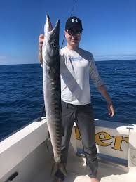 Die konkave felge für individualisten. Barracuda Cavalier Blue Marlin Sport Fishing Gran Canaria
