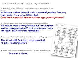 What are the possible genotypes and phenotypes for the offspring? Introduction To Genetics Powerpoint