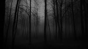 Black And White Nature Wallpaper 4k Black Black And White Forest Nature Foggy Atmosphere Darkness Fog Tree Twilight Dark Forest Creepy In 2020 Scary Backgrounds Forest Background Dark Landscape