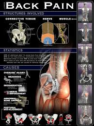 Pin On Disability