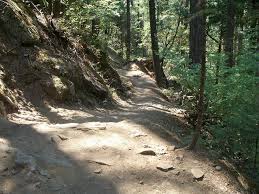 For many resorts, this means shutting down, packing up for the season, and waiting until the snow starts to fall again. Five2ride 5 Of The Best Mountain Bike Trails In California Singletracks Mountain Bike News