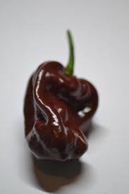 1842, in the meaning defined above. How Can Someone Not Love Chocolate Scotch Bonnet Chilis Hotpeppers