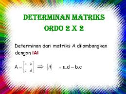 C invers matriks ordo 2 x 2 jessica dewi fortuna br.marpaung marlyn christ nathasya saragih. Determinan Invers Matriks Ordo 2 X 2 Ppt Download
