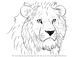 To start learning to draw a lion, the first thing is to create the basic shapes from which the drawing will take shape. Learn How To Draw Lion Head Big Cats Step By Step Drawing Tutorials