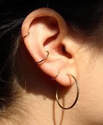 trois gold hoop earring ventrone chronicles ear piercings earings piercings piercings