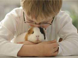 Maybe you would like to learn more about one of these? 5 Best Pets For Kids And 3 To Avoid