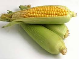 Their Is A Different Solution Then Simply Throwing Away Your Cob Husks And Silk Once Finished With A Corn Buttered Corn Benefits Of Sweet Corn Freezing Corn